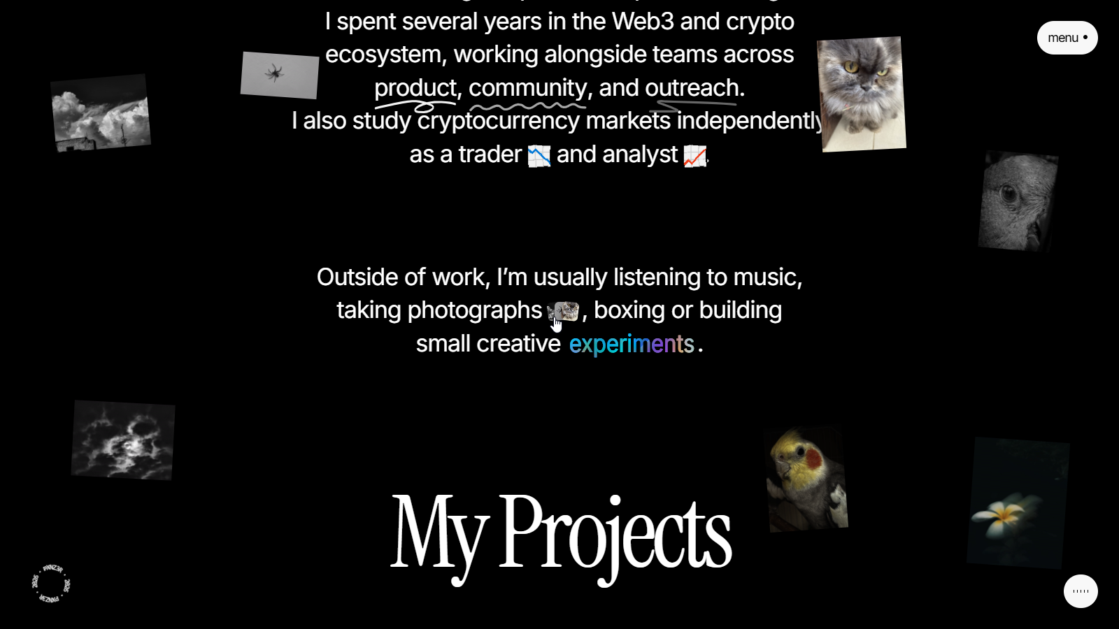 pxnz3r.dev project view 3